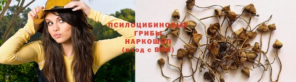 дживик Медвежьегорск