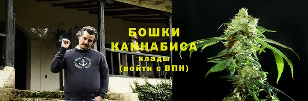 молекула духа Аша