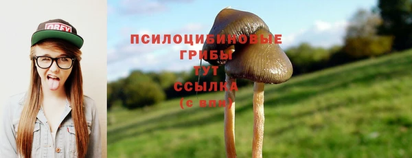метадон Михайловск