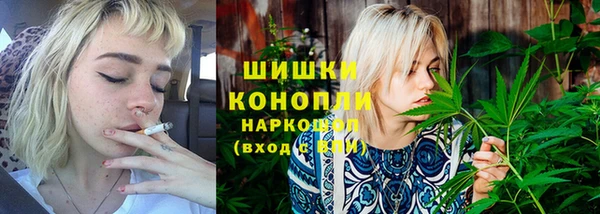 индика Анжеро-Судженск