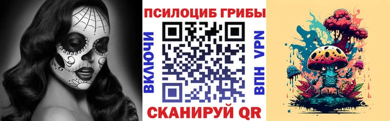 купить   Донской  Галлюциногенные грибы прущие грибы 