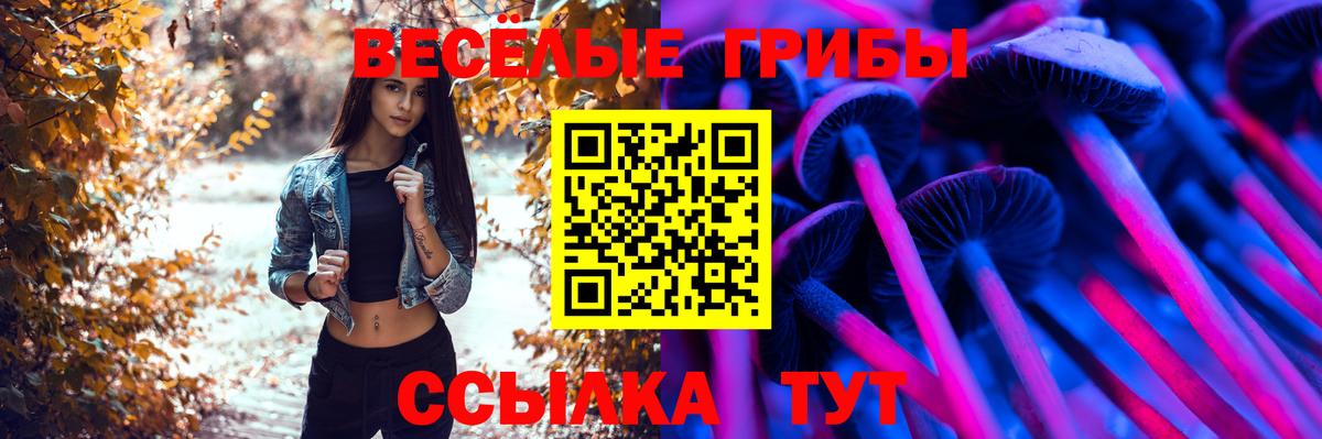 Галлюциногенные грибы Magic Shrooms  Донской  купить  цена  Галлюциногенные грибы GOLDEN TEACHER 