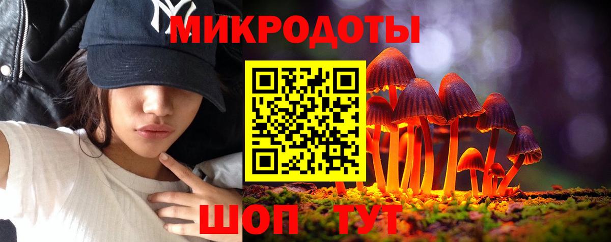Псилоцибиновые грибы GOLDEN TEACHER  Галлюциногенные грибы мицелий  Донской  Вход с VPN 